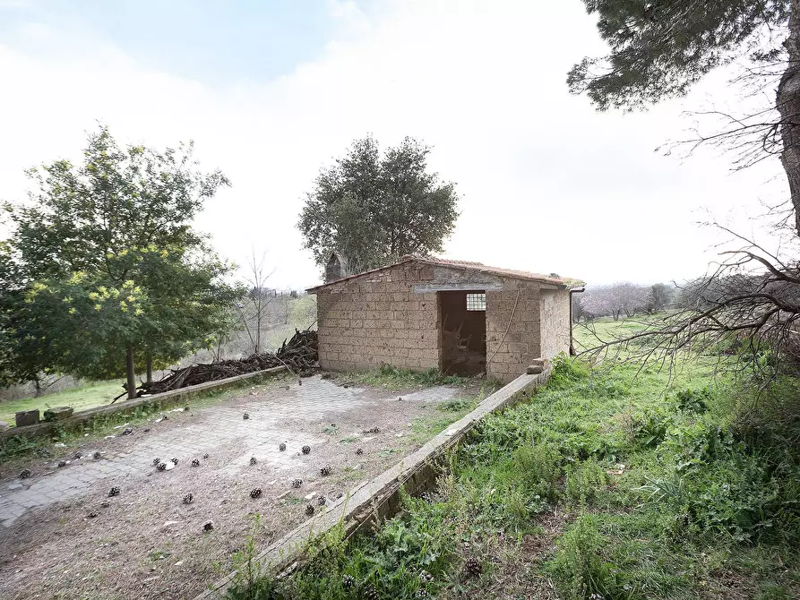 Immagine 16 di Rustico / casale in vendita  in Località Scassato a Vetralla