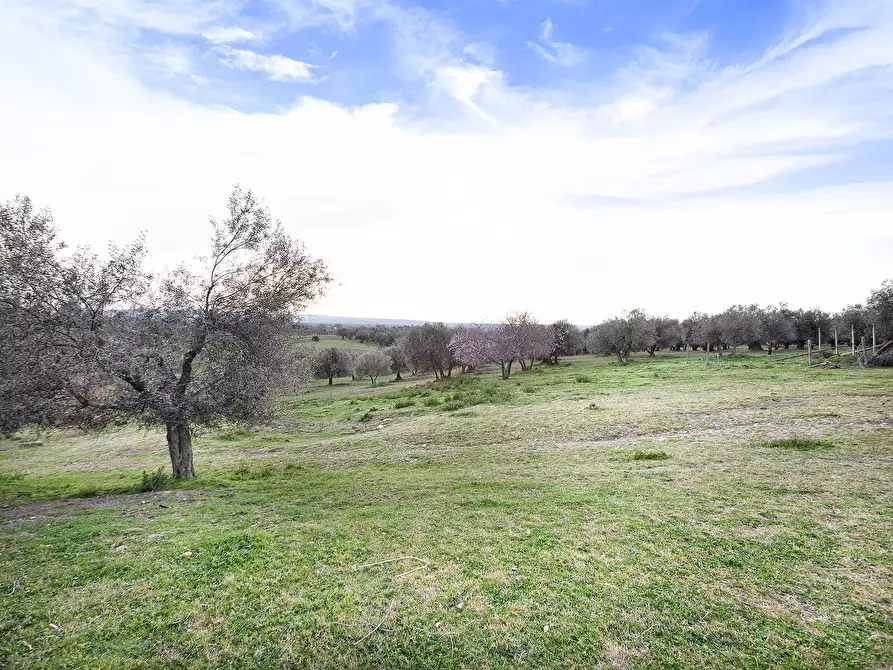 Immagine 18 di Rustico / casale in vendita  in Località Scassato a Vetralla