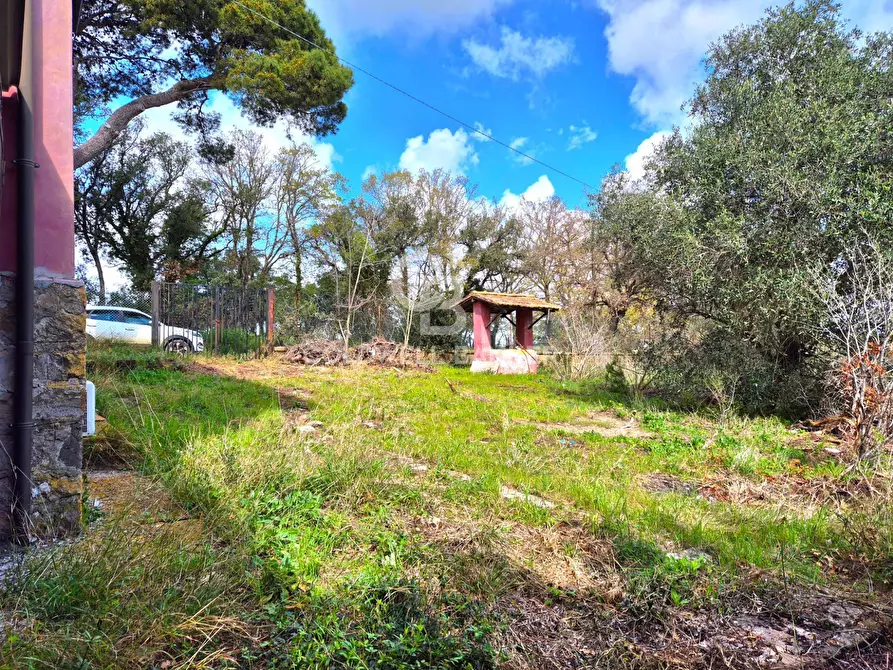 Immagine 23 di Rustico / casale in vendita  in Località Pian D'Arcione a Tarquinia