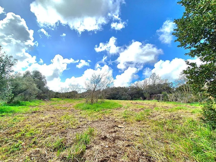 Immagine 24 di Rustico / casale in vendita  in Località Pian D'Arcione a Tarquinia