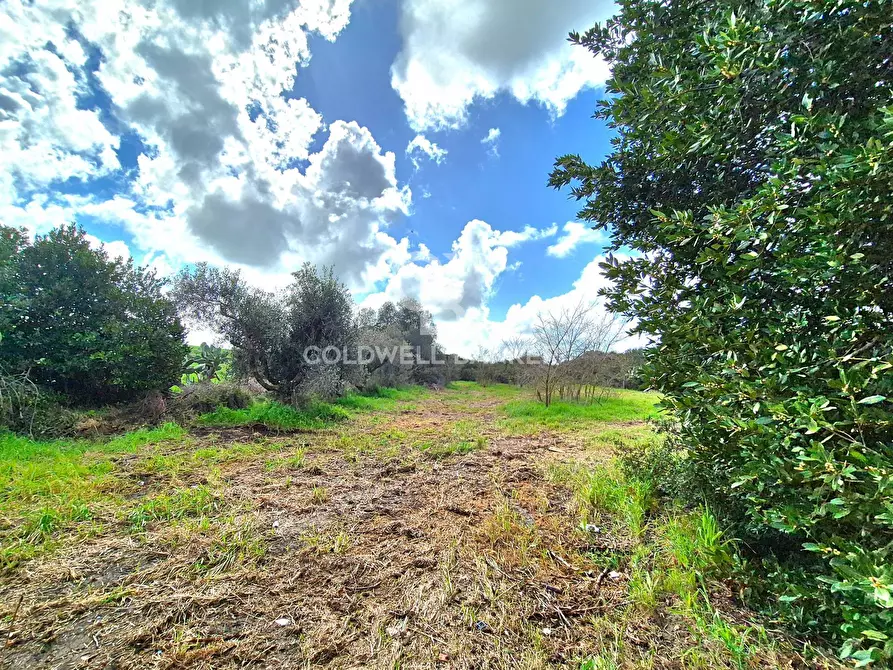 Immagine 25 di Rustico / casale in vendita  in Località Pian D'Arcione a Tarquinia