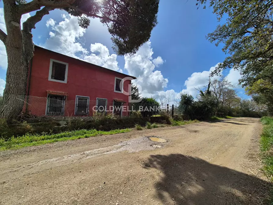 Immagine 28 di Rustico / casale in vendita  in Località Pian D'Arcione a Tarquinia