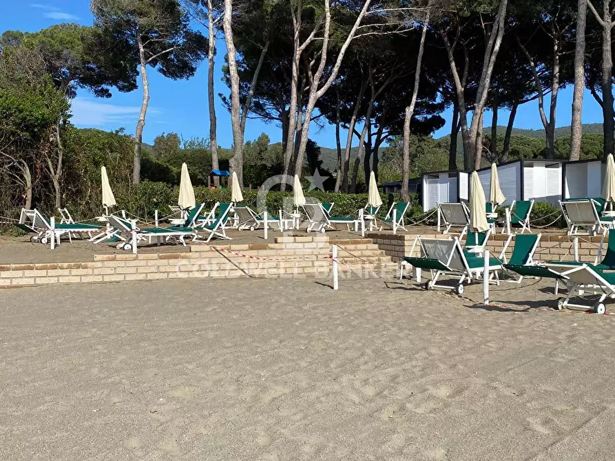 Immagine 4 di Locale commerciale in vendita  in via Della Dogana a Castiglione Della Pescaia