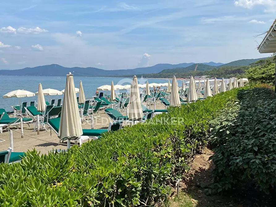 Immagine 5 di Locale commerciale in vendita  in via Della Dogana a Castiglione Della Pescaia