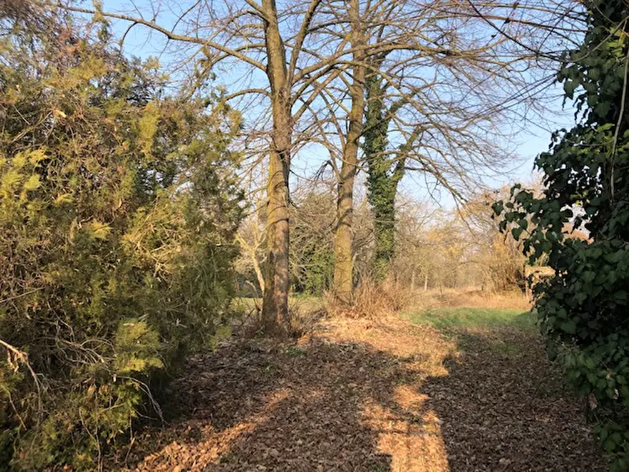 Immagine 4 di Casa indipendente in vendita  a Villimpenta
