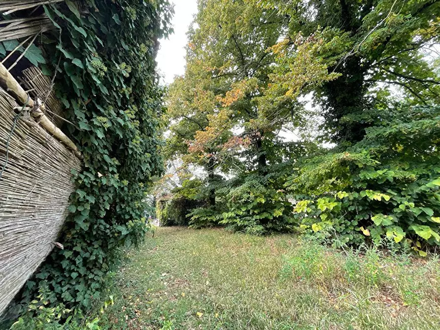 Immagine 5 di Casa indipendente in vendita  a Villimpenta