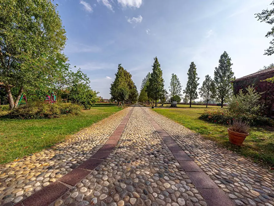 Immagine 5 di Villa in vendita  a Curtatone