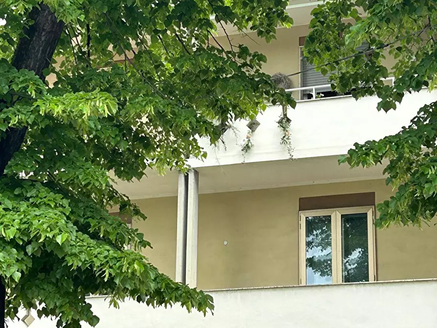 Immagine 3 di Attico in vendita  a Mantova