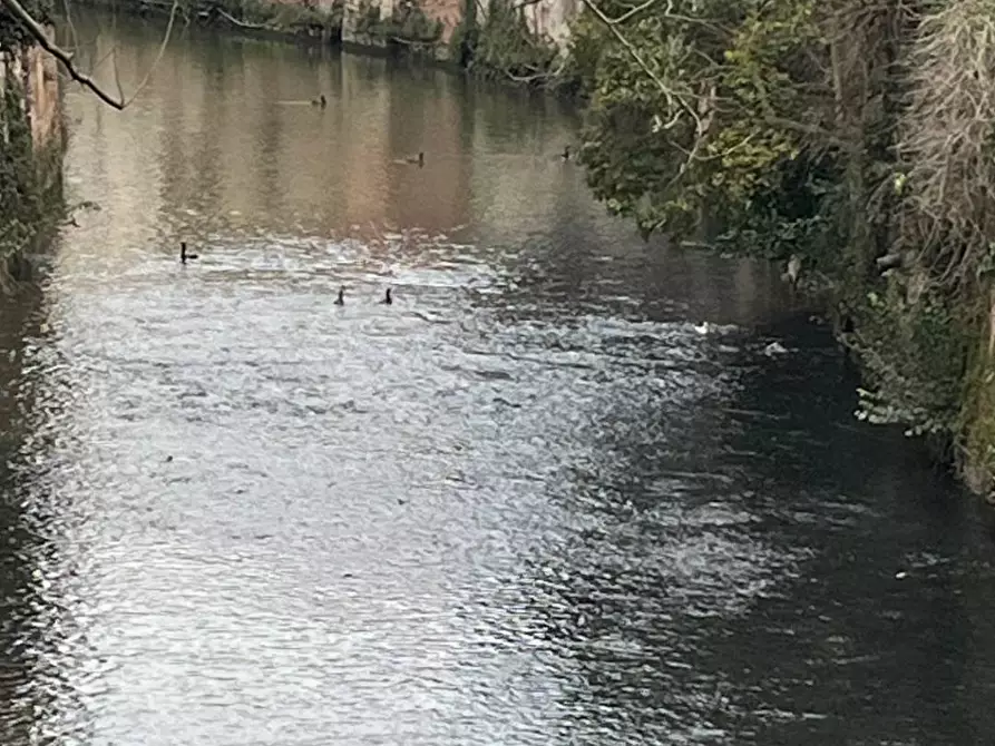 Immagine 25 di Appartamento in vendita  a Mantova