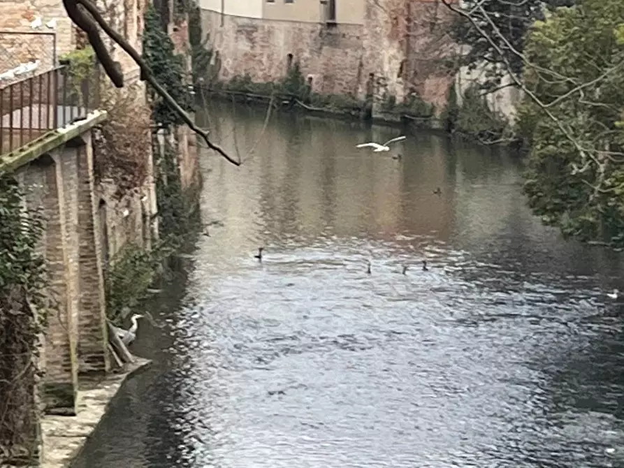 Immagine 23 di Appartamento in vendita  a Mantova