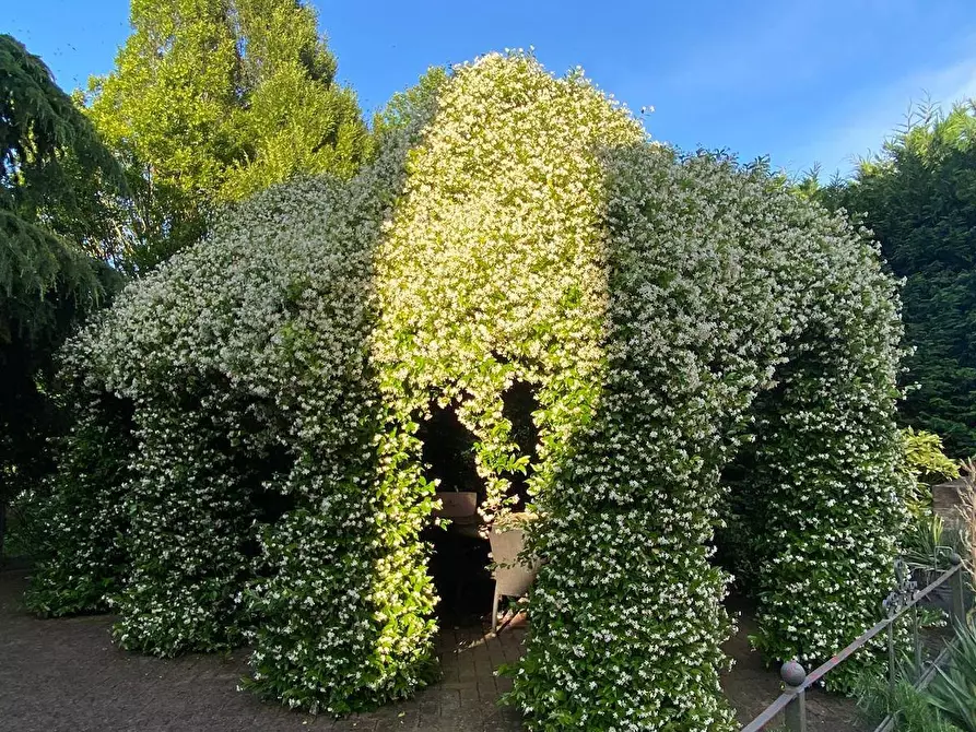 Immagine 6 di Villa in vendita  a Borgo Virgilio