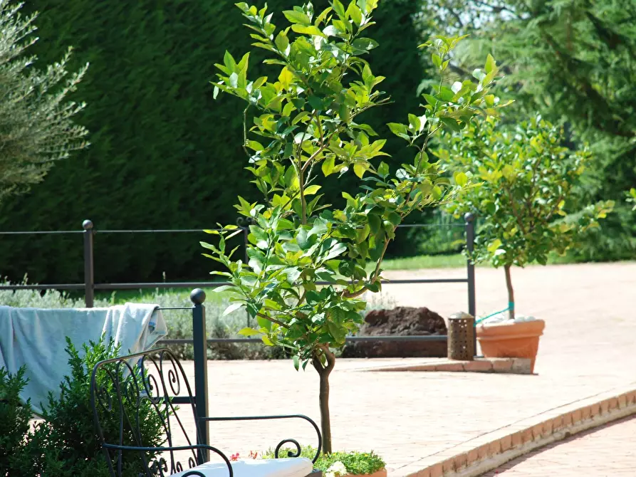 Immagine 19 di Villa in vendita  a Borgo Virgilio