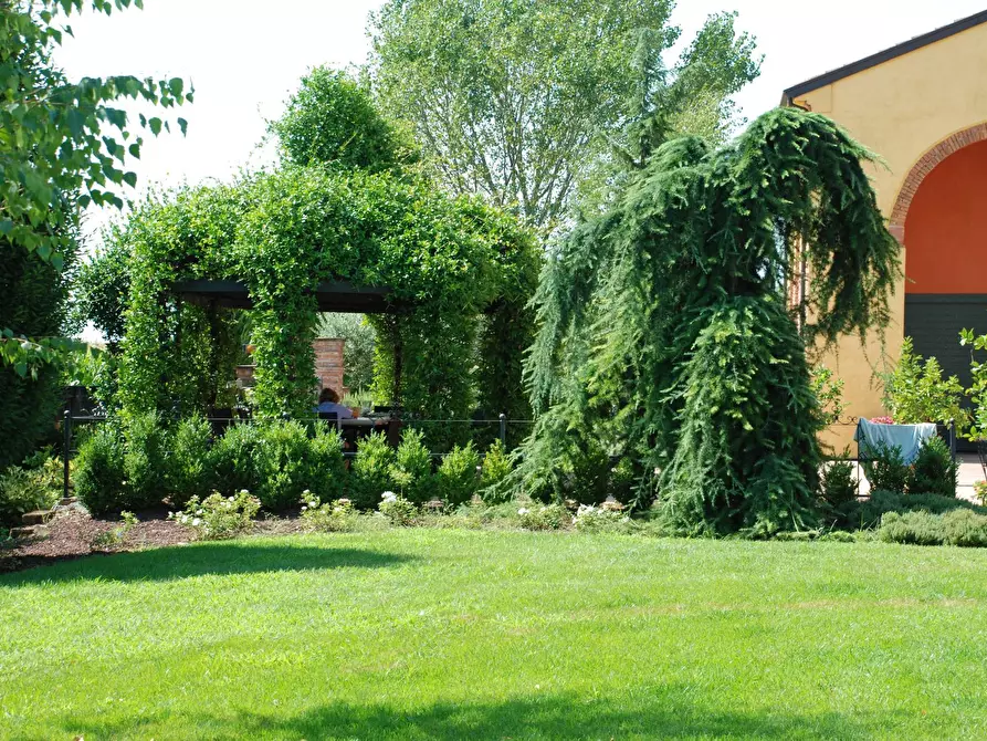 Immagine 5 di Villa in vendita  a Borgo Virgilio