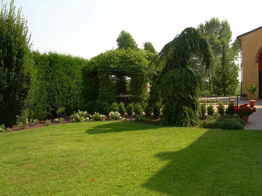 Immagine 15 di Villa in vendita  a Borgo Virgilio