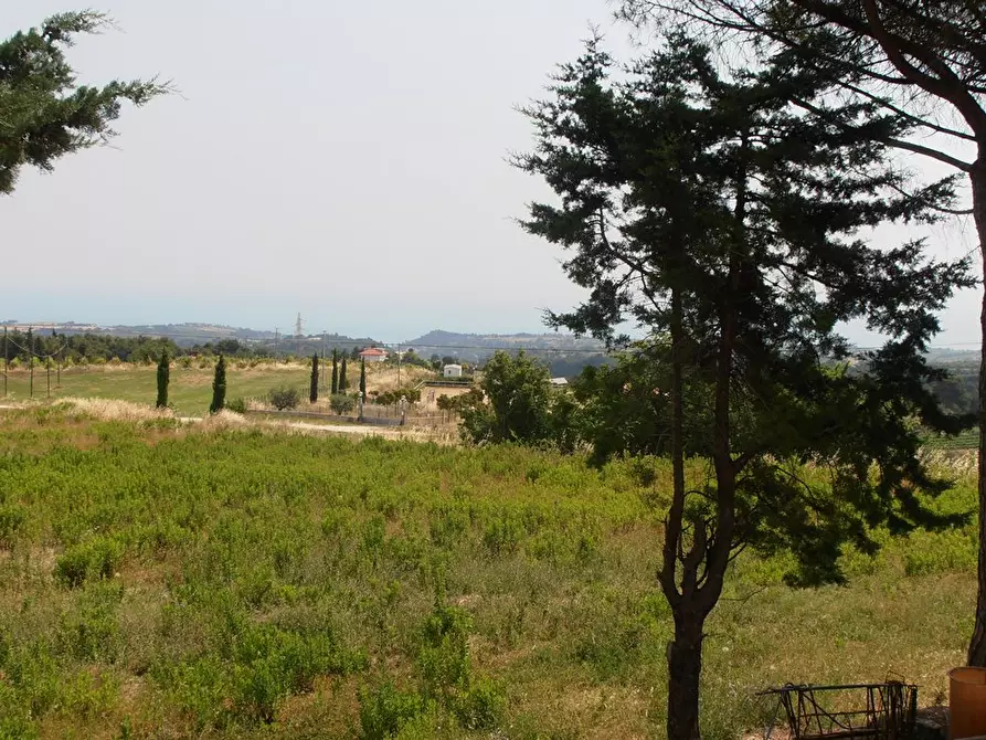 Immagine 3 di Rustico / casale in vendita  in Ripatransone Petrella a Ripatransone