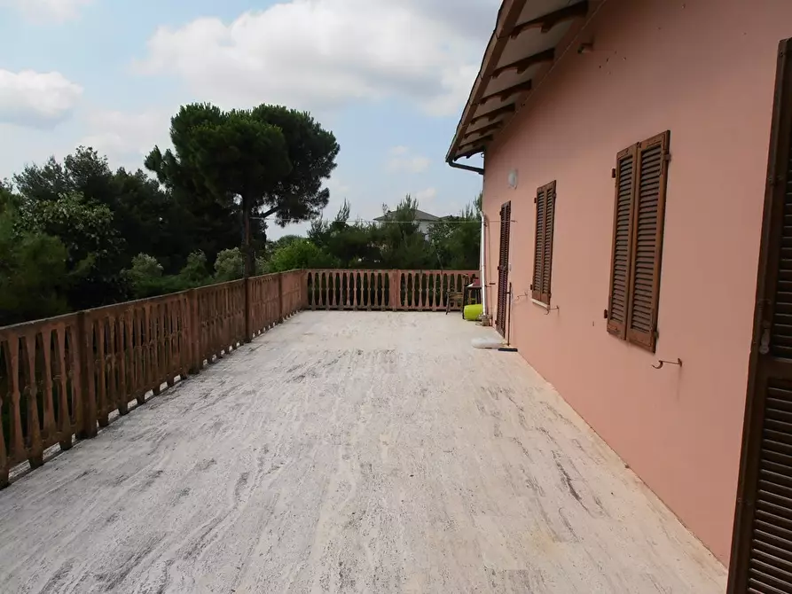 Immagine 7 di Rustico / casale in vendita  in Ripatransone Petrella a Ripatransone