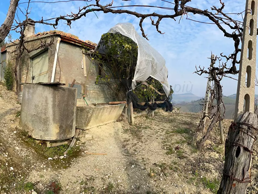 Immagine 4 di Terreno agricolo in vendita  in Strada Provinciale 32 a Ripatransone