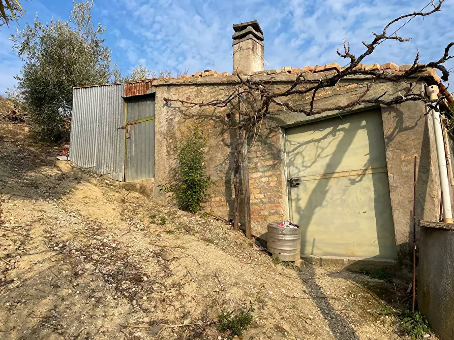 Immagine 5 di Terreno agricolo in vendita  in Strada Provinciale 32 a Ripatransone