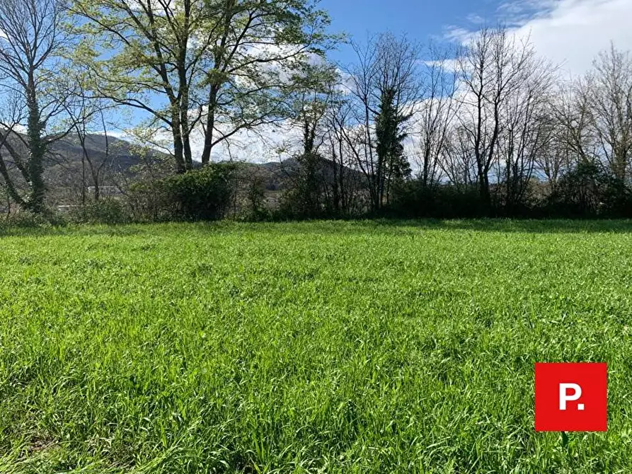 Immagine 3 di Terreno agricolo in vendita  in VIA CACCIAPUGLI a Alvignano