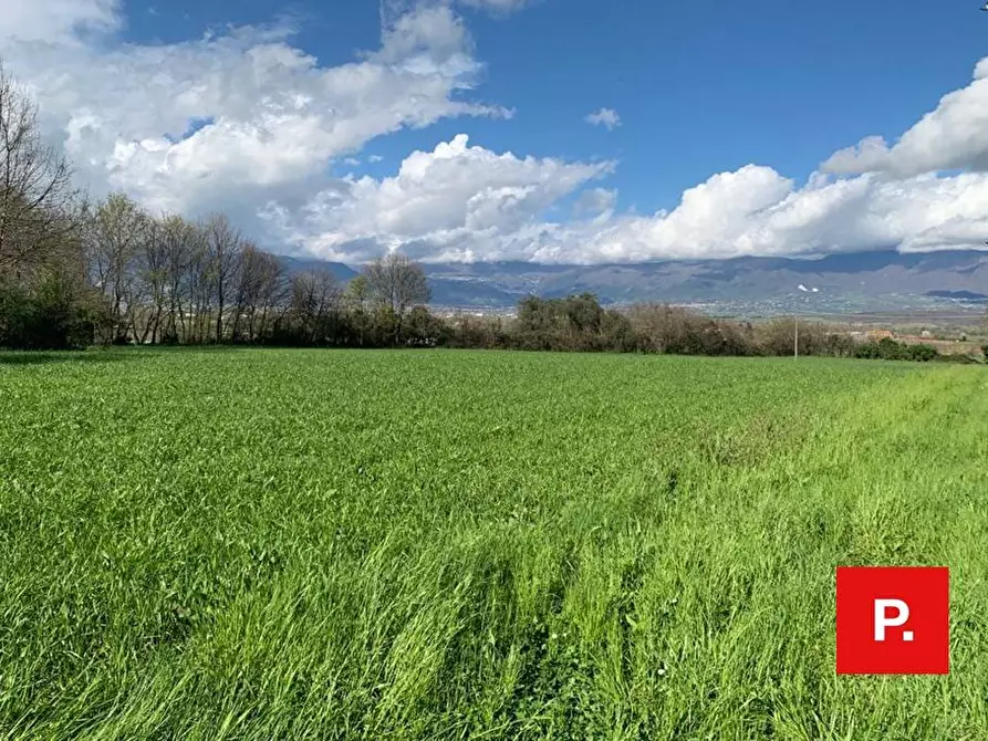 Immagine 5 di Terreno agricolo in vendita  in VIA CACCIAPUGLI a Alvignano