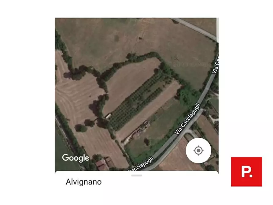 Immagine 8 di Terreno agricolo in vendita  in VIA CACCIAPUGLI a Alvignano