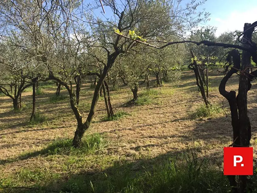 Immagine 30 di Villa in vendita  in via termine a Caserta