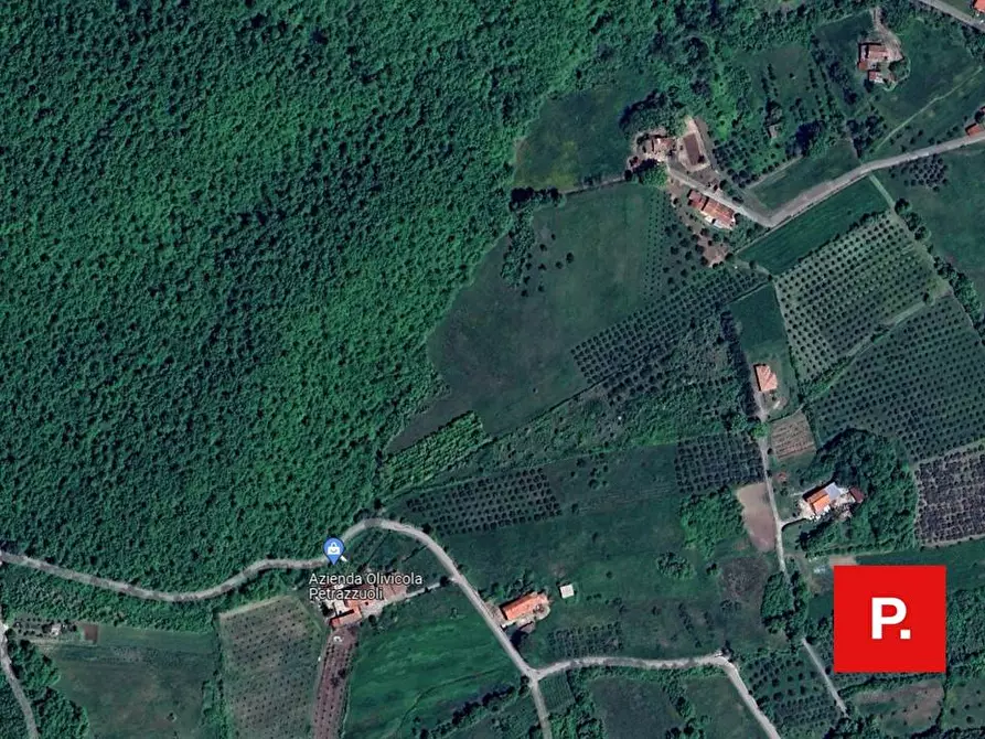 Immagine 1 di Terreno residenziale in vendita  in VIA SCOCCILLI a Ruviano