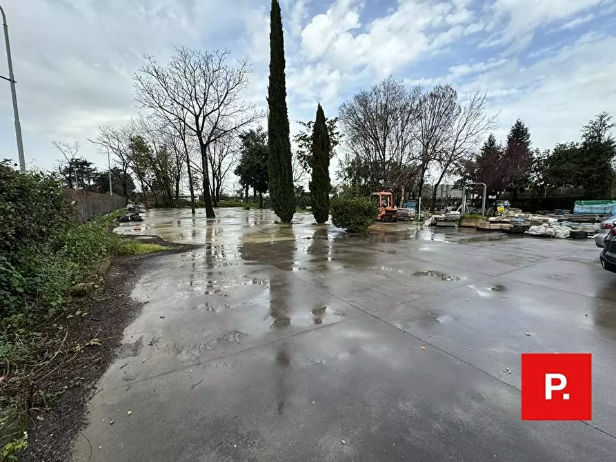 Immagine 7 di Locale commerciale in vendita  in viale Carlo III a Caserta