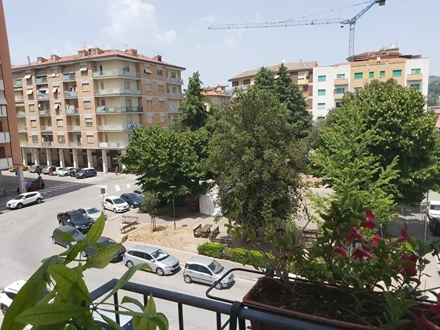 Immagine 19 di Appartamento in vendita  a Ascoli Piceno