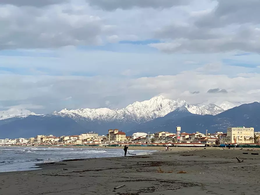 Immagine 8 di Attività commerciale in vendita  a Viareggio