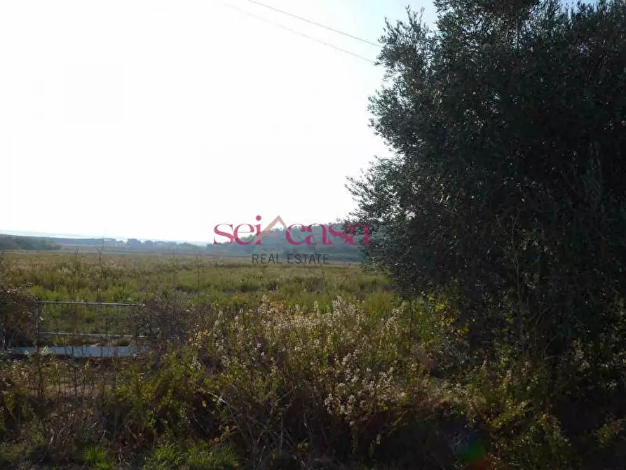 Immagine 7 di Rustico / casale in vendita  a Castiglione Della Pescaia