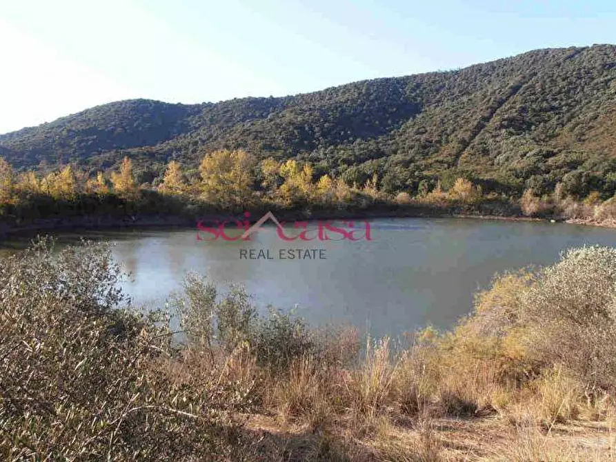 Immagine 1 di Rustico / casale in vendita  a Castiglione Della Pescaia