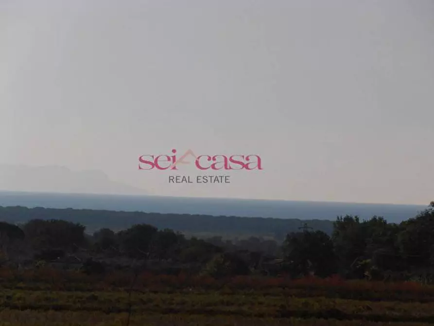 Immagine 13 di Rustico / casale in vendita  a Castiglione Della Pescaia