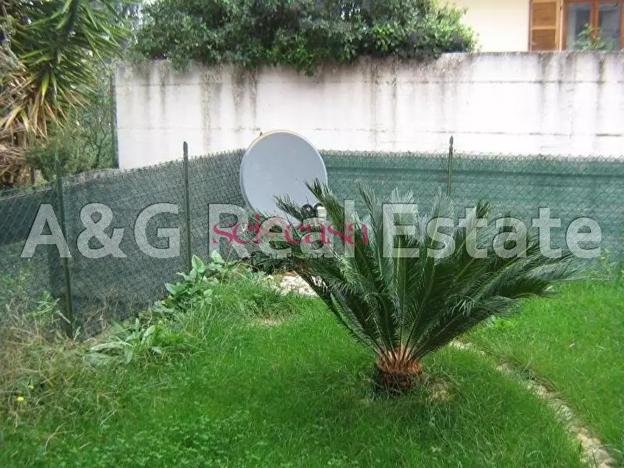 Immagine 11 di Appartamento in vendita  a Roccastrada