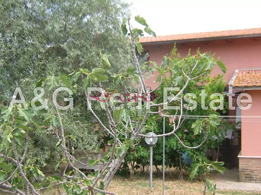 Immagine 21 di Villa in vendita  a Grosseto