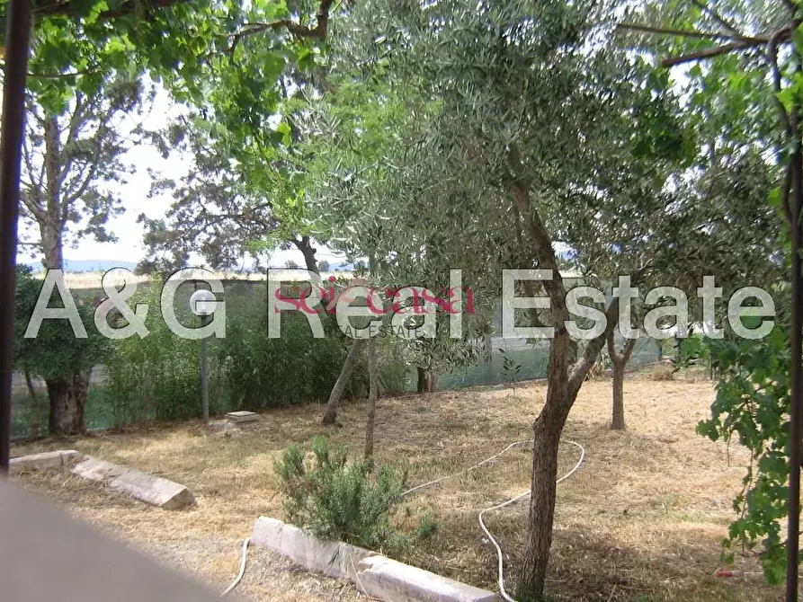Immagine 3 di Villa in vendita  a Grosseto