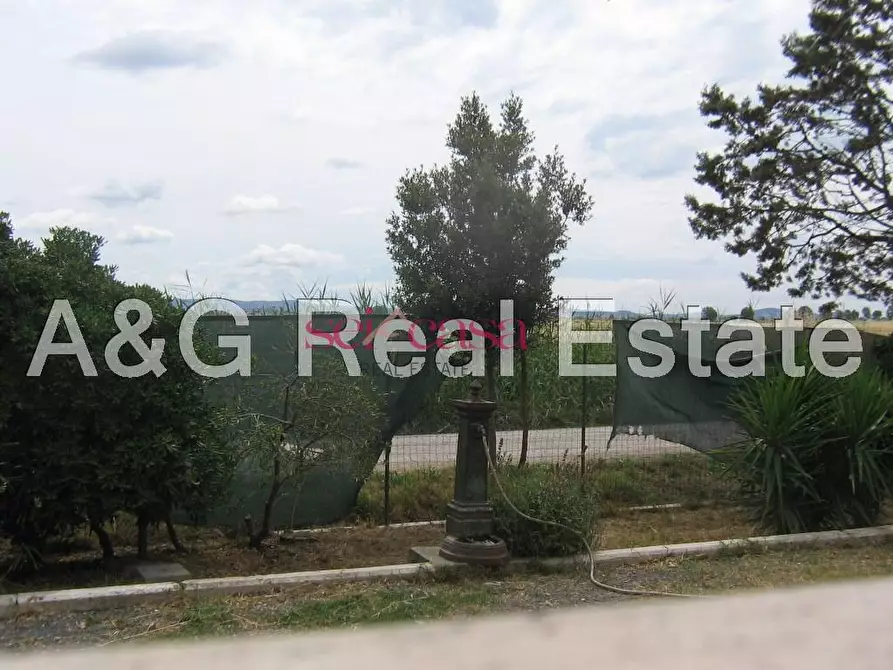 Immagine 23 di Villa in vendita  a Grosseto