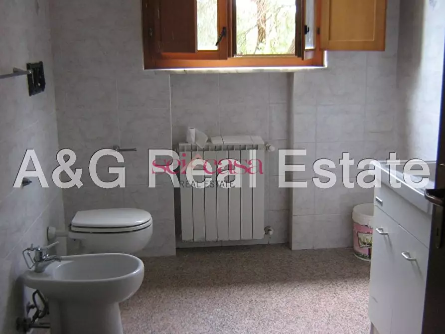 Immagine 18 di Villa in vendita  a Grosseto