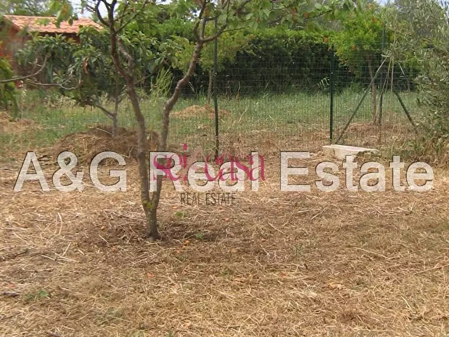 Immagine 26 di Villa in vendita  a Grosseto