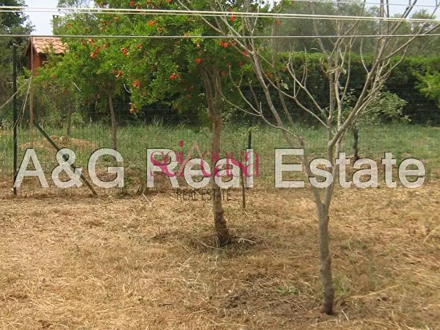 Immagine 27 di Villa in vendita  a Grosseto