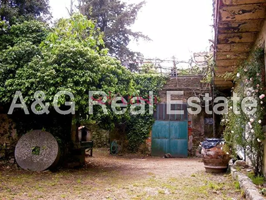 Immagine 3 di Palazzo in vendita  a Scansano