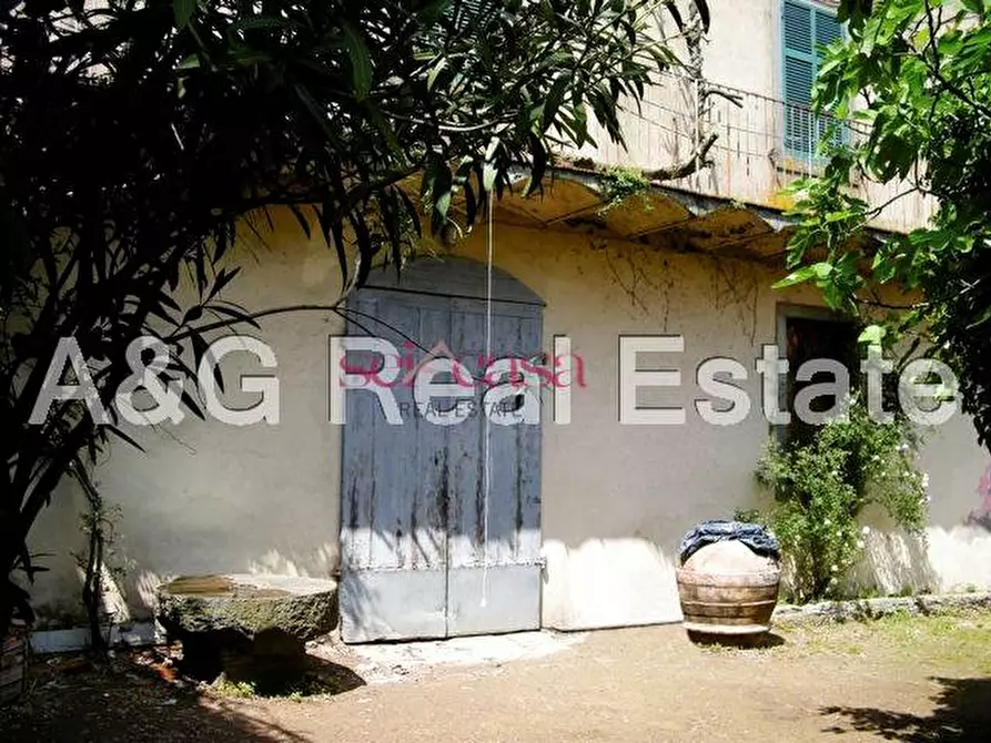 Immagine 6 di Palazzo in vendita  a Scansano