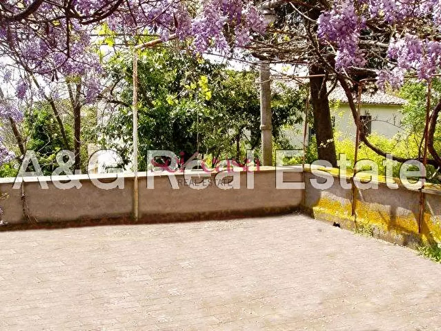 Immagine 2 di Palazzo in vendita  a Scansano