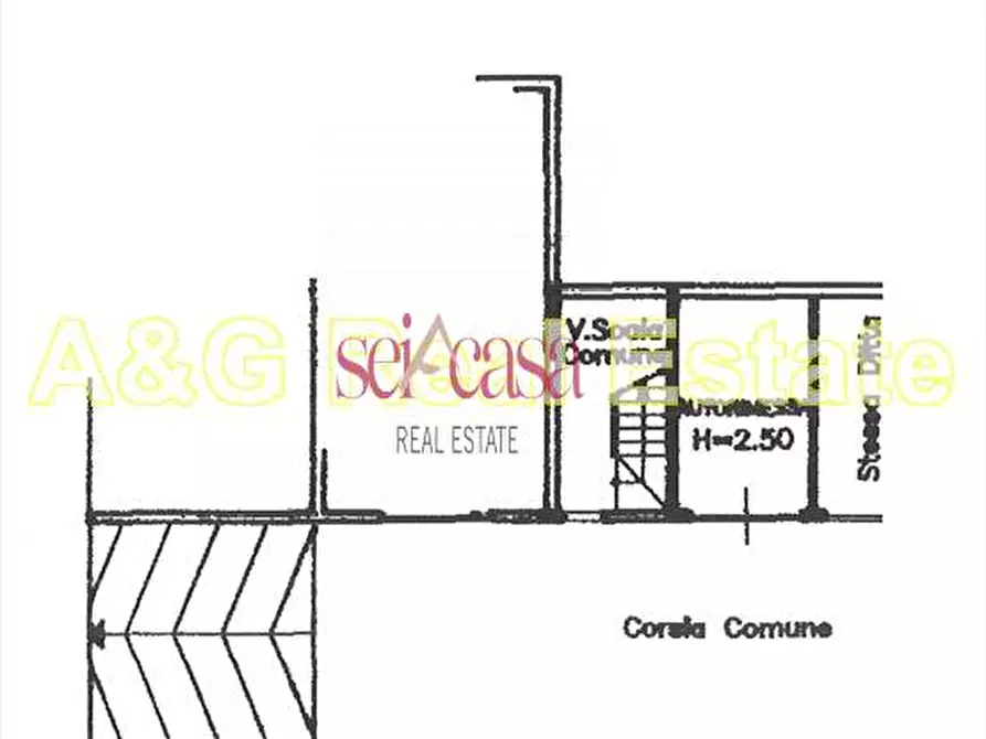 Immagine 13 di Appartamento in vendita  a Roccastrada