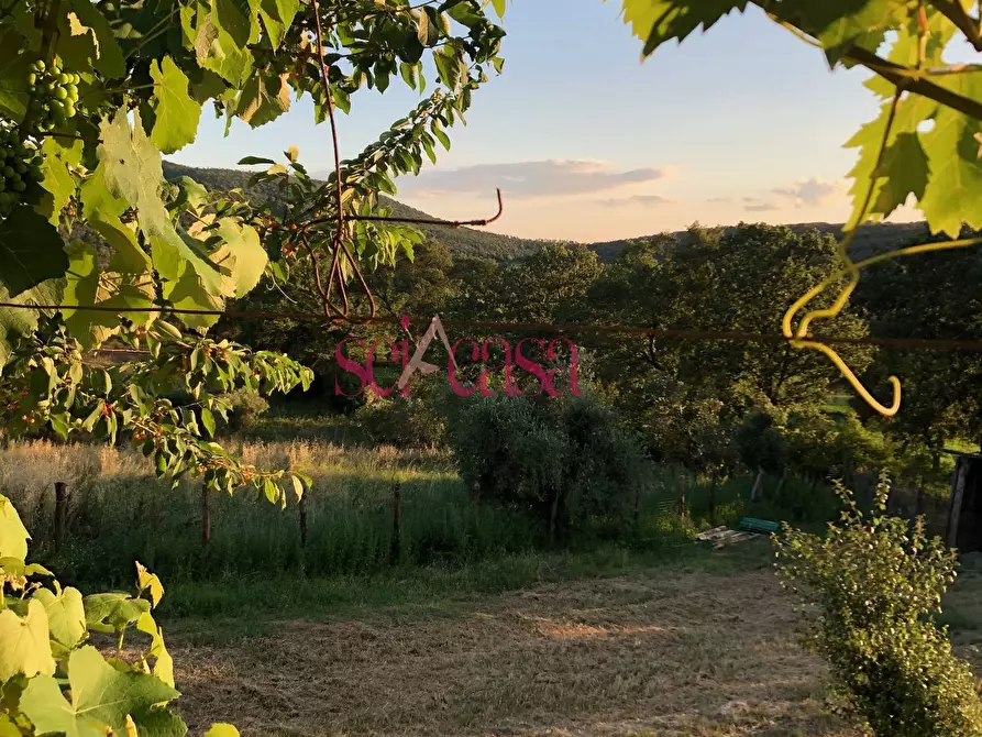 Immagine 15 di Appartamento in affitto  a Campagnatico