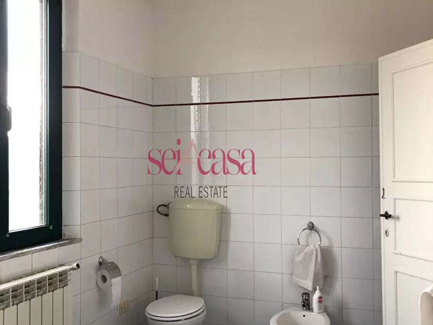 Immagine 11 di Appartamento in affitto  a Campagnatico