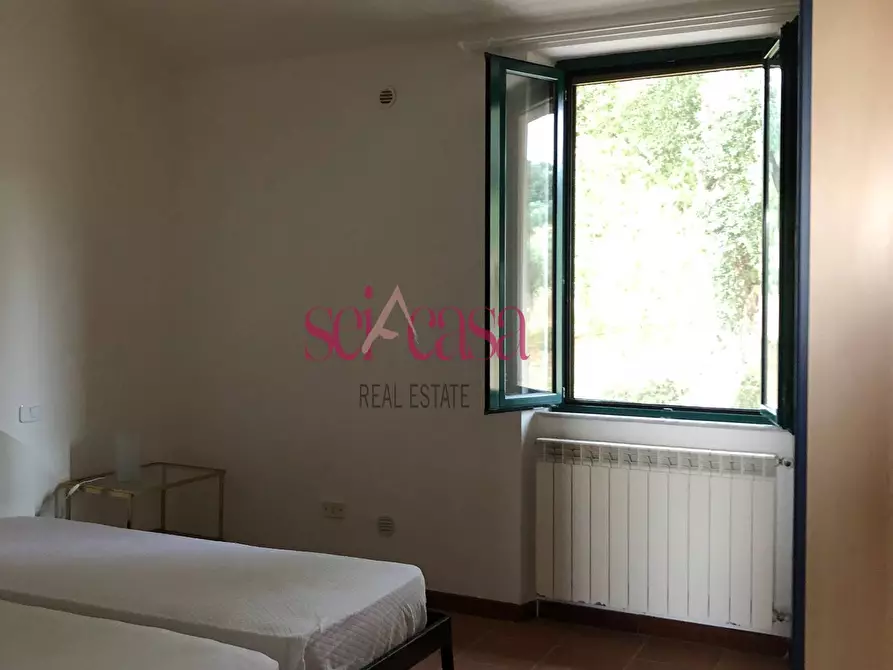 Immagine 8 di Appartamento in affitto  a Campagnatico