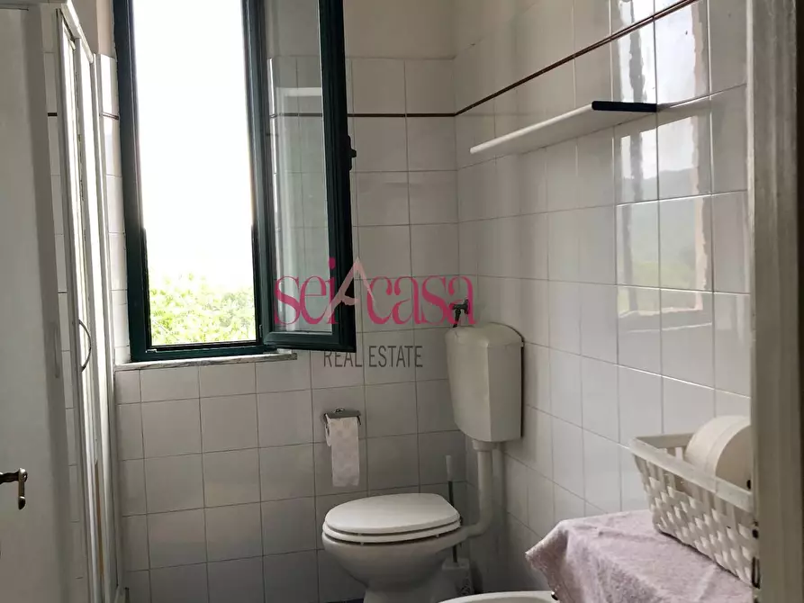 Immagine 12 di Appartamento in affitto  a Campagnatico