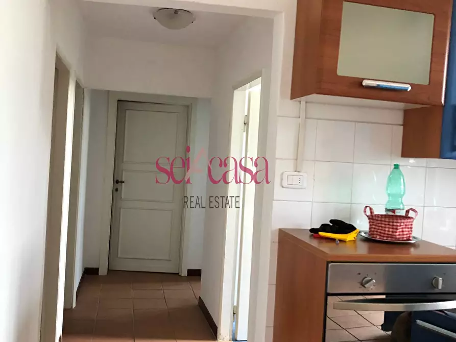 Immagine 4 di Appartamento in affitto  a Campagnatico