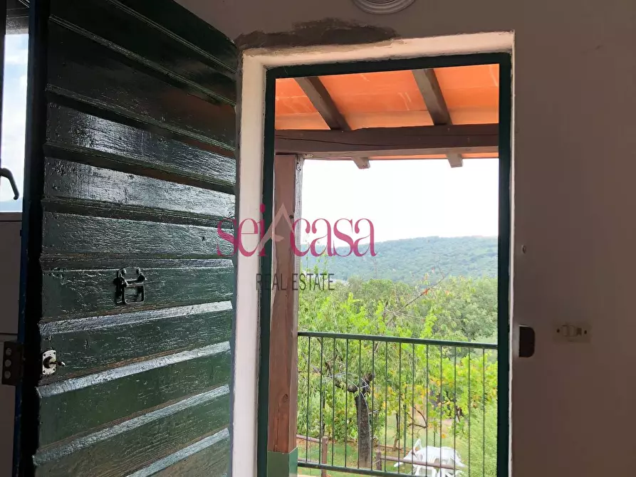 Immagine 2 di Appartamento in affitto  a Campagnatico